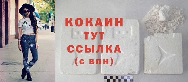 тгк Михайловск