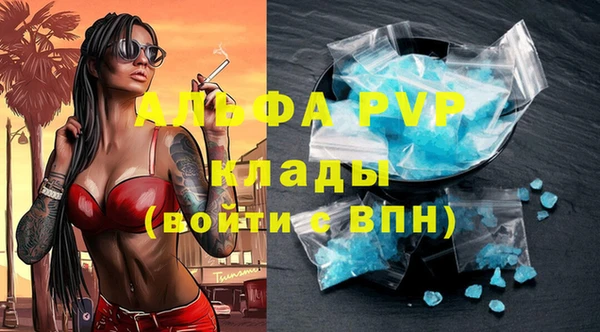 spice Дмитриев