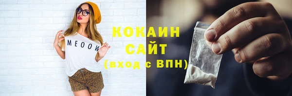 spice Дмитриев