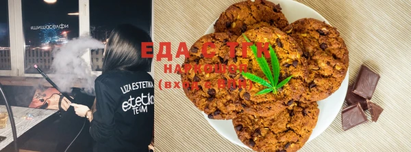 spice Дмитриев