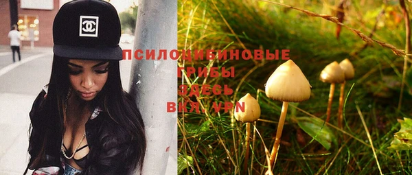 PSILOCYBIN Дмитровск