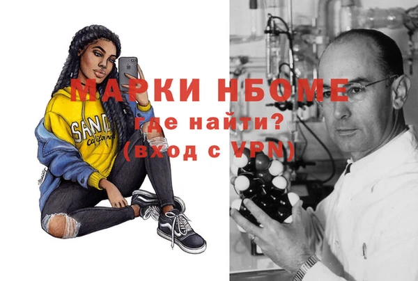 spice Дмитриев