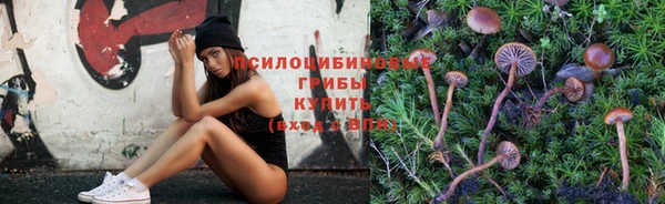PSILOCYBIN Дмитровск