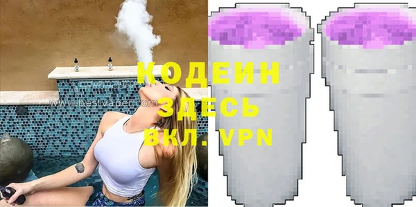 spice Дмитриев